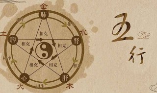 火生土是什么意思（八字火生土是什么意思）