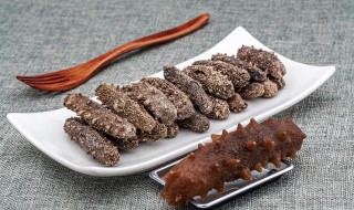 怎么泡干海参 怎么泡发干海参最佳方法