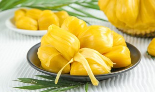 菠萝蜜要怎么存放老是容易坏 菠萝蜜放多久会坏掉