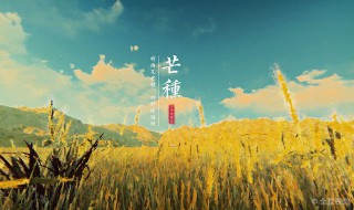 有关芒种的谚语和诗句（有关芒种的谚语和诗句有哪些）