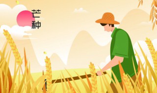 24节气分别是什么（24节气分别是什么意思）
