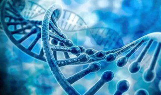 基因突变是什么意思啊 肺部基因突变是什么意思啊