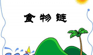 食物链的顶端是什么 食物链的顶端是什么网络用语