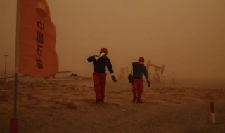 遇到沙尘暴的自救方法（在沙漠中遇到沙尘暴的自救方法）