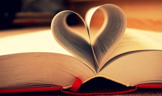 资产的构成内容是什么（资产的组成内容）