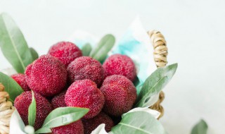 杨梅里的小白虫能吃吗 杨梅里的小白虫能吃吗八八农场