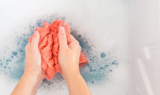 杨梅汁的清洗窍门（杨梅汁的清洗窍门有哪些）