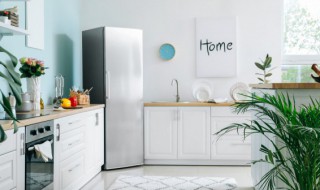 冰箱保护膜怎么撕干净小窍门（冰箱保护膜怎么撕干净小窍门图片）