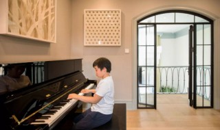 怎么让儿子成为钢琴大师 怎么让儿子成为钢琴大师教师