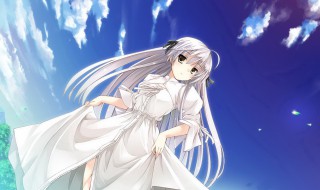 如何让动漫店稳步经营（开动漫店的劣势）