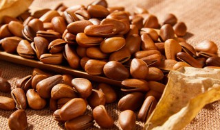 松子如何开口最佳方法 松子如何开口最佳方法视频