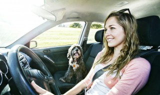 地板油是什么意思 地板油是什么意思?