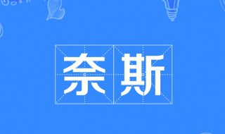 耐斯是什么意思（非常奈斯是什么意思）