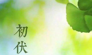 2021年初伏是哪一天（2021年初伏是哪一天几点几分）