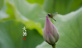 大暑过后还热吗（大暑过后还热吗?）