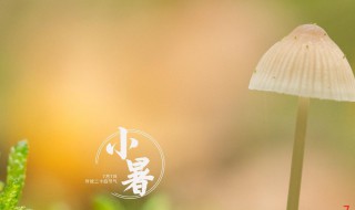 2021小暑是什么时间 2021年什么时间小暑