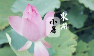 2021年小暑时间是几月几号 2021年小暑是几月几日日几点