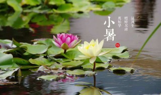 2021小暑节气特点介绍（2021小暑节气的含义是什么意思）