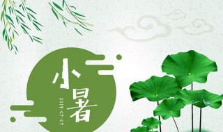 2021年小暑具体时间（2021年小暑是什么时间）