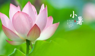 2021年小暑是阳历几月几日（2021年大小暑是几月几号）