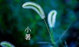 2021年小暑是什么时候（2021年小暑是什么时间）