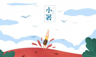 关于小暑谚语大全（关于小暑谚语大全）
