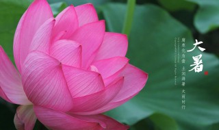 2021年大暑是几月几日 2021年大暑是几月几日日几点