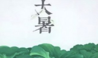 大暑是哪一天2021（大暑是哪一天代表什么）
