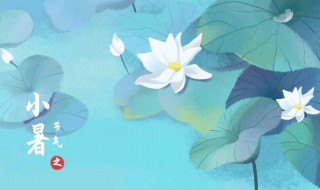 2021小暑节气的含义是什么意思 2021年处暑节气是什么时候