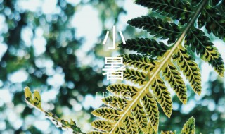 小暑时间代表什么? 小暑时间代表什么意思