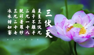 初伏热还是中伏热（初伏热还是中伏热还是末伏热）