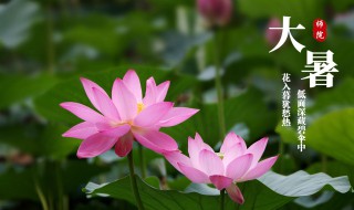 大暑是什么季节的节气（大暑节气过后是什么节气）