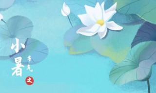 小暑忌讳什么 小暑大暑有什么讲究