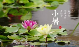 2021小暑大暑是什么时间（2021小暑大暑是什么时间开始）