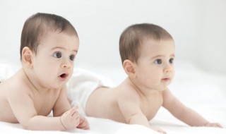 高贵有气质的男孩名字 高贵有气质的男孩名字大全