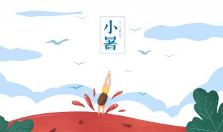 小暑种什么蔬菜（小暑种什么蔬菜最合适）