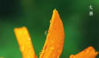 2021年大暑时间 2021年大暑时间几点几分几秒