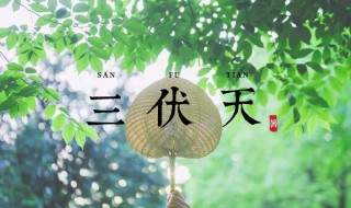 2021年三伏天时间表共多少天 今年三伏天时间表2021多少天