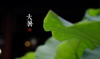 大暑过后是什么节气 大暑过后是啥节气