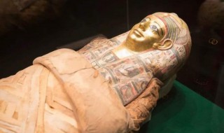 什么是木乃伊 什么是木乃伊呢