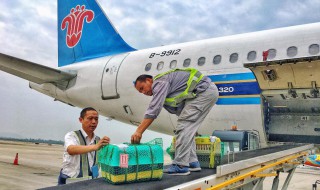 飞机托运怎么办理（飞机托运怎么办理流程）