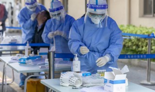 核酸检测流程 核酸检测流程示意图