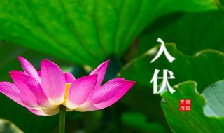 二零二一年入伏时间 二零二一年入伏时间是哪一天