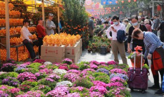 木绣球怎么养?（木绣球怎么养 鲜切花）