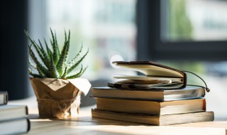 芦荟怎么养才能长的好?（芦荟怎么养才能长的好呢）