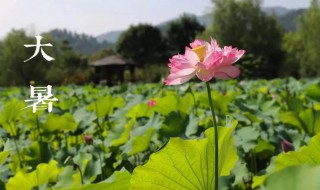 2021年大暑民间活动 2021年大暑小暑时间