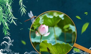 大暑养生要点离不开粥和水（大暑的养生之道）