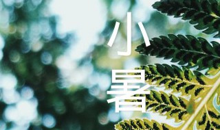 小暑农事歌 小暑 儿歌