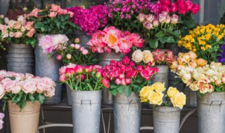 花束怎么能在水里养的时间更长?（花束放水里能养多久）