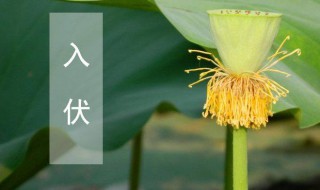 几号入伏2021（几号入伏2021时间表几点）